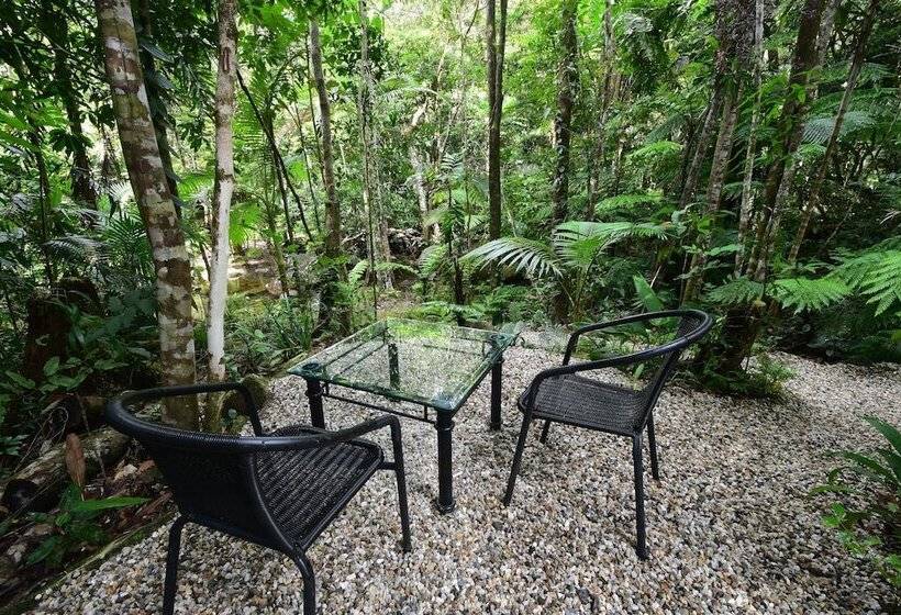 Daintree Cascades