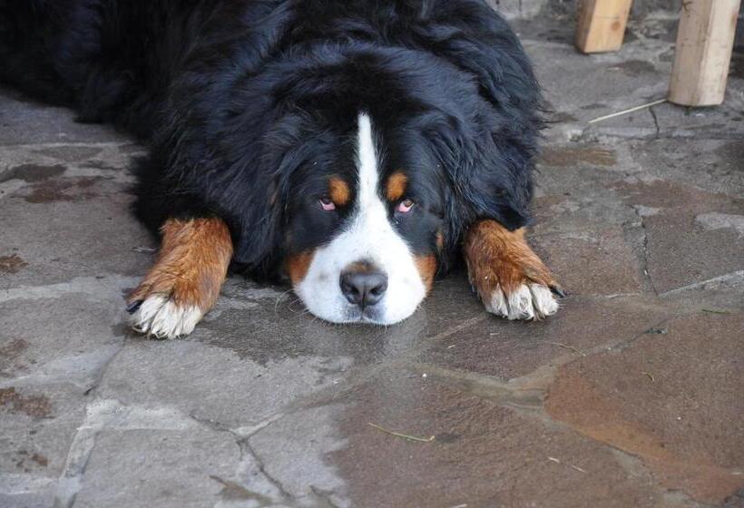 פונדק Hosteria Ruca Kitai