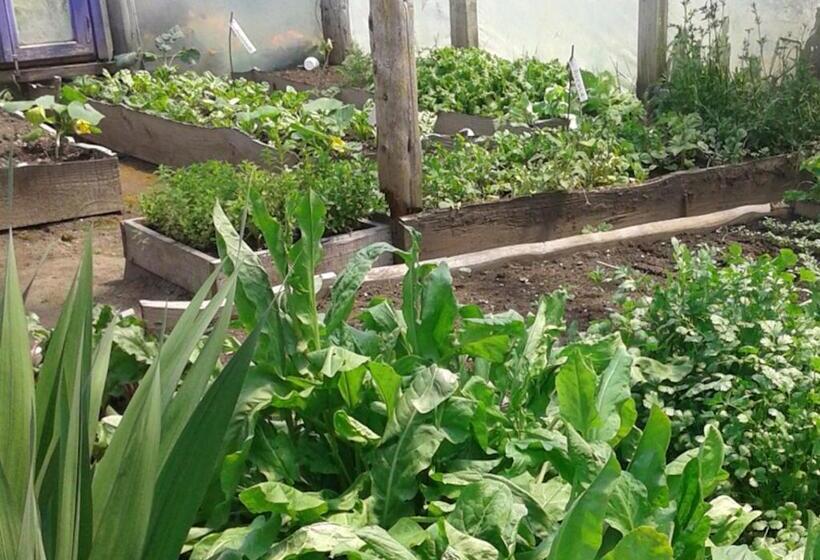 פונדק Hosteria Ruca Kitai