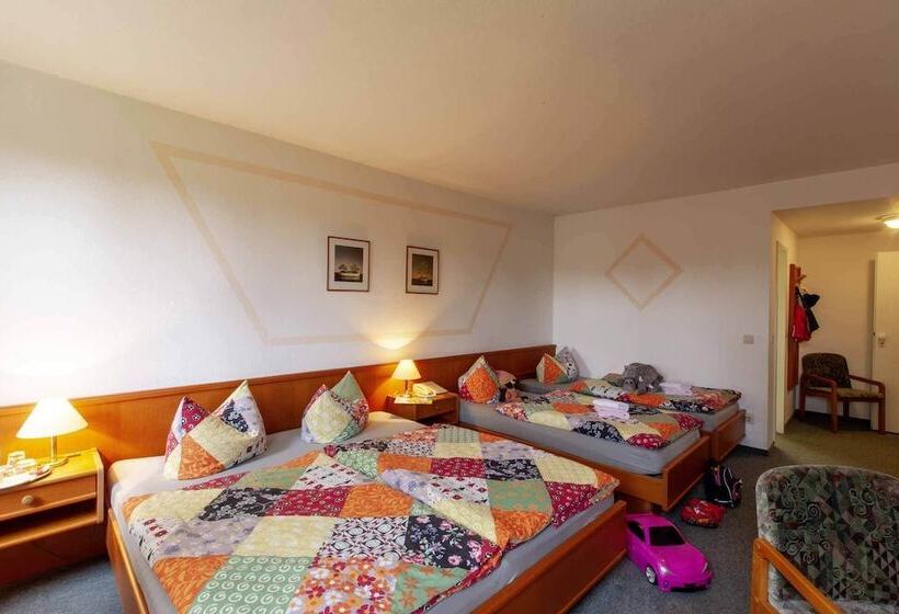 فندق Alter Weber