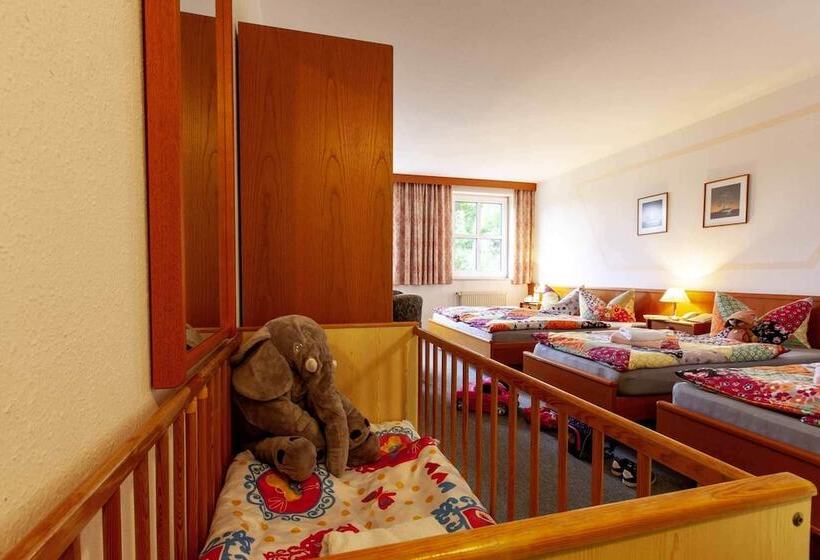 فندق Alter Weber