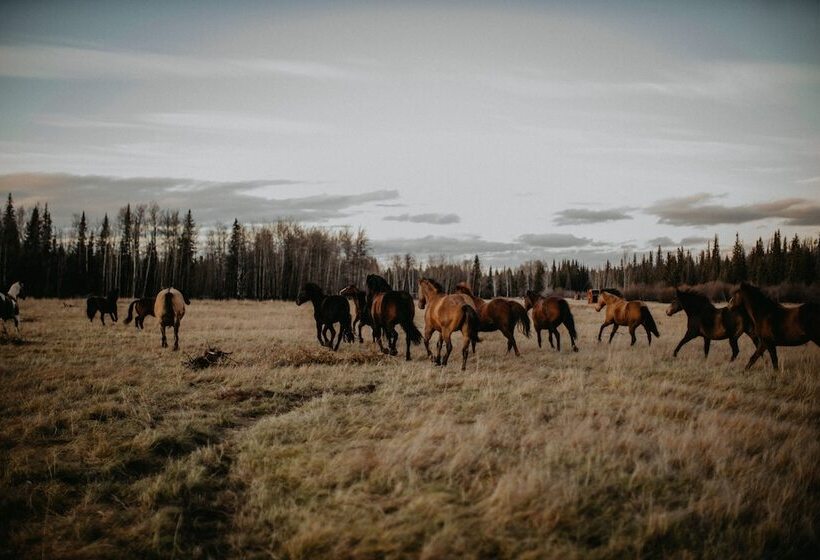 ホテル Big Creek Lodge Working Guest Ranch