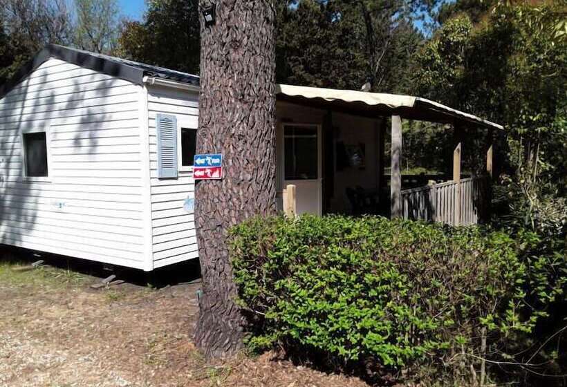 酒店 Camping L Orée Des Cevennes