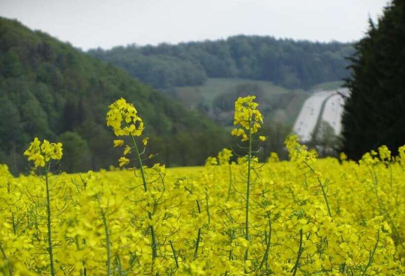 فندق Ferienwohnung Brunow In Der Natur Zuhause