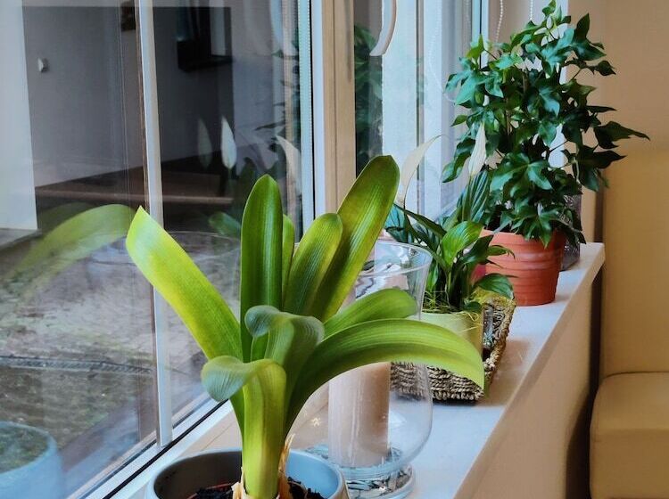 فندق Ferienwohnung Brunow In Der Natur Zuhause