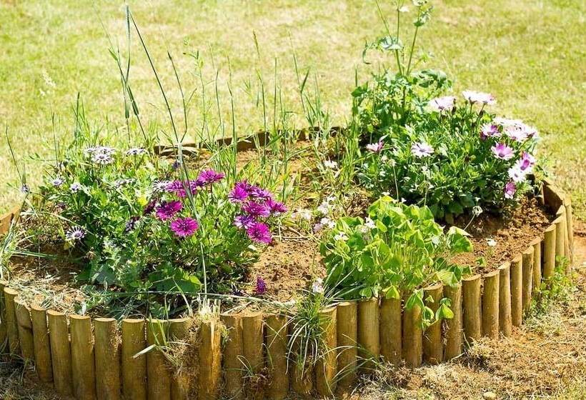 فندق La Posada De Rus