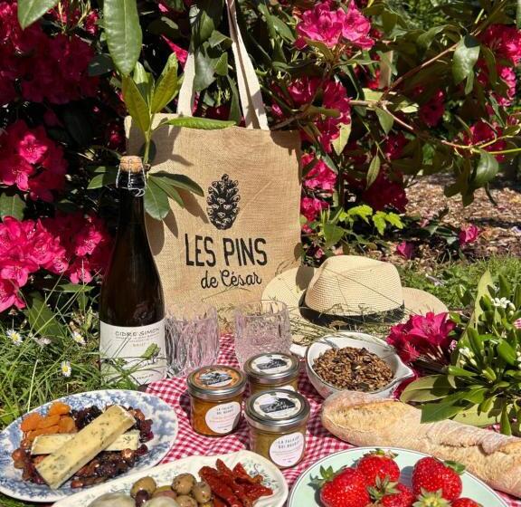 酒店 Les Pins De Cesar La Campagne D Etretat