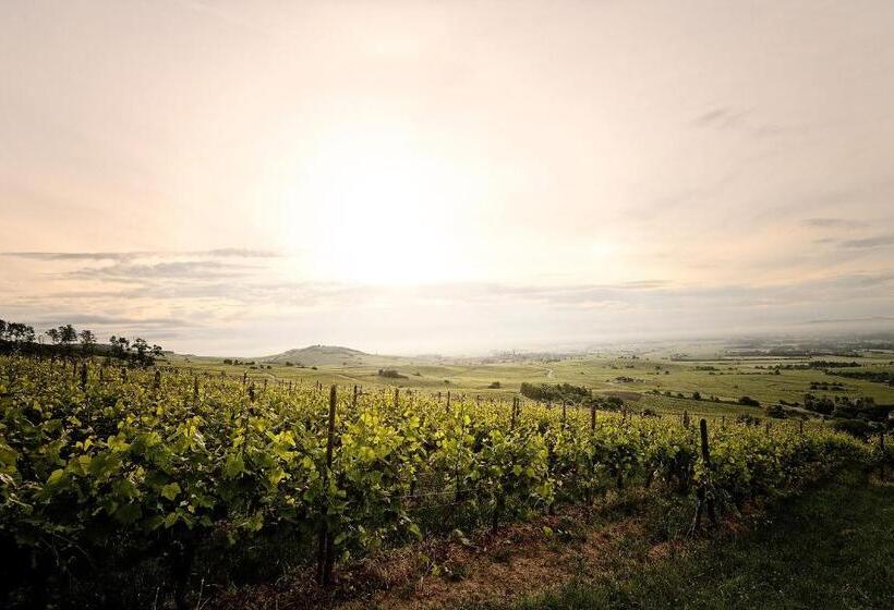 酒店 Pêche De Vigne & Spa