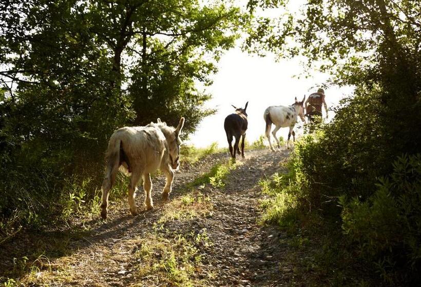 فندق ريفى Agriturismo Ca' Del Ciuco