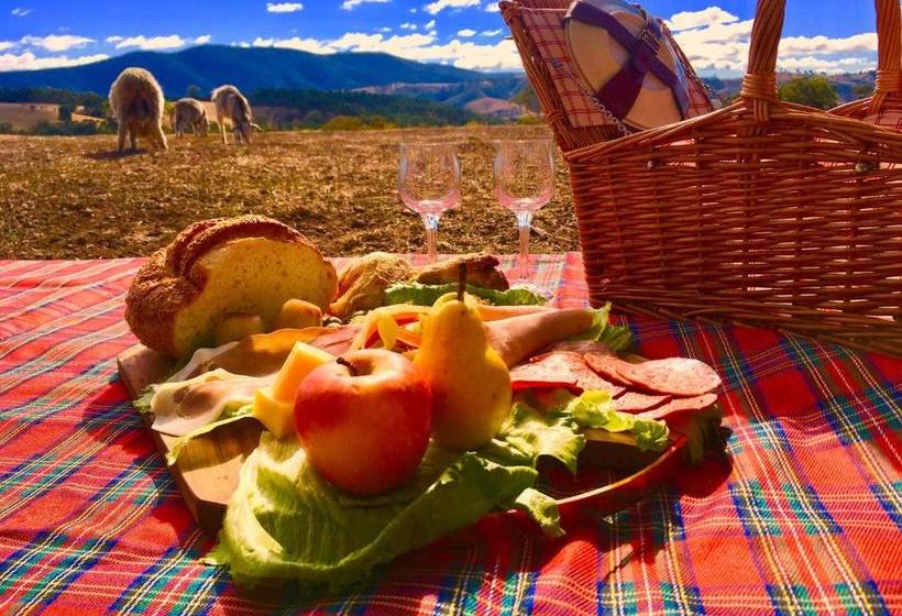 교외 호텔 Country Budget