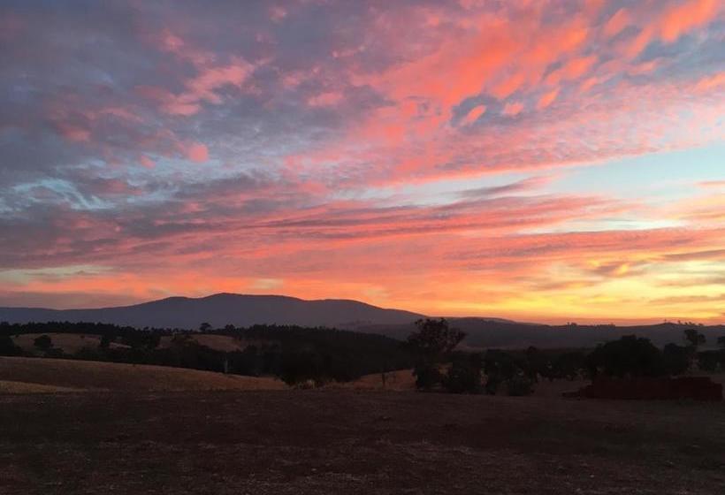 교외 호텔 Country Budget