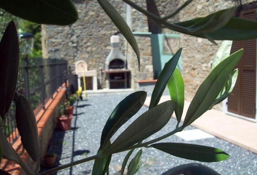 בית מלון כפרי Il Nido Delle Rondini