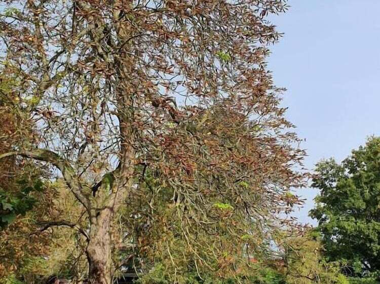 Отель Schloss Stülpe