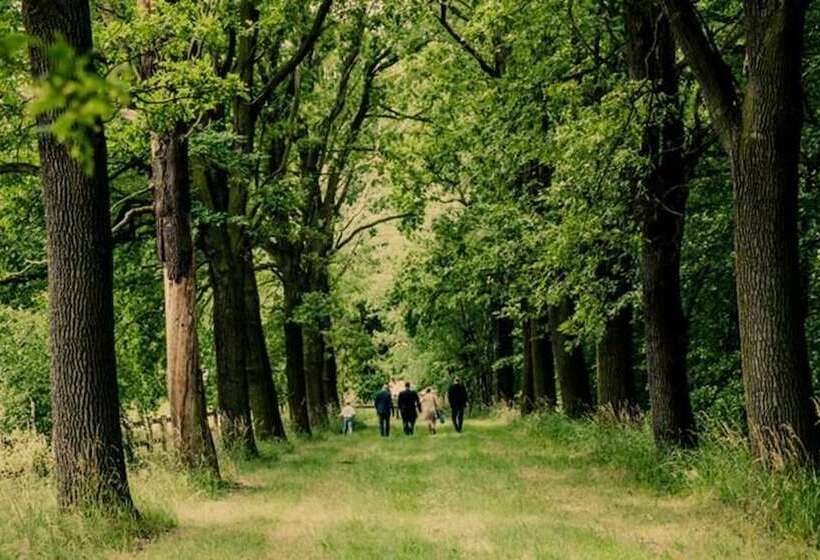 Отель Schloss Stülpe