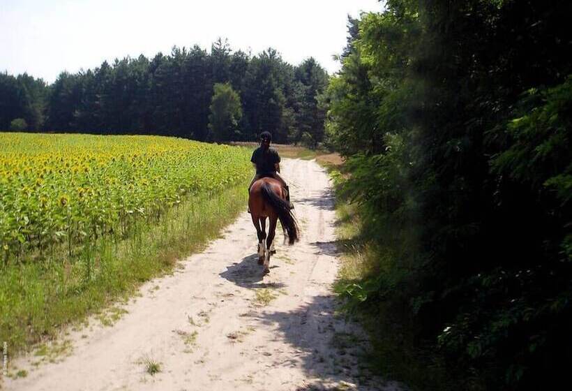 Отель Schloss Stülpe