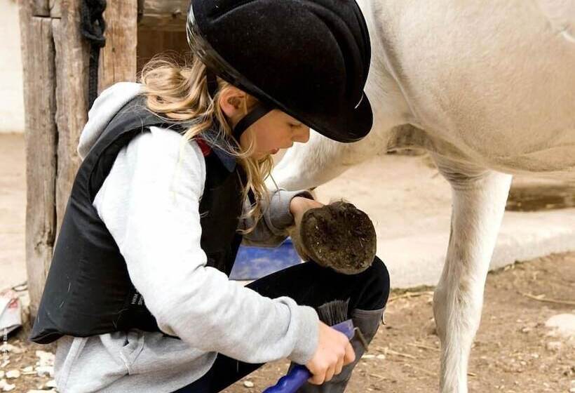 Отель Schloss Stülpe