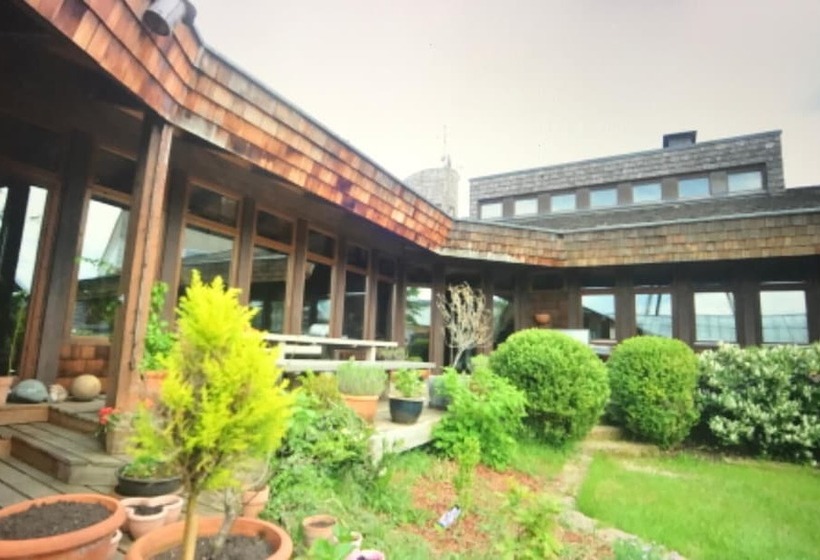 酒店 Steinacher Hof