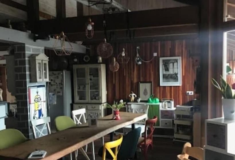 酒店 Steinacher Hof