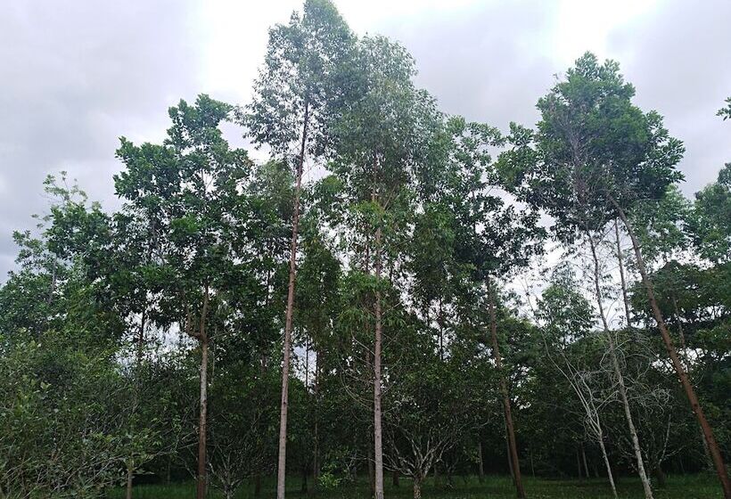 호텔 Tierralinda Finca Cottage