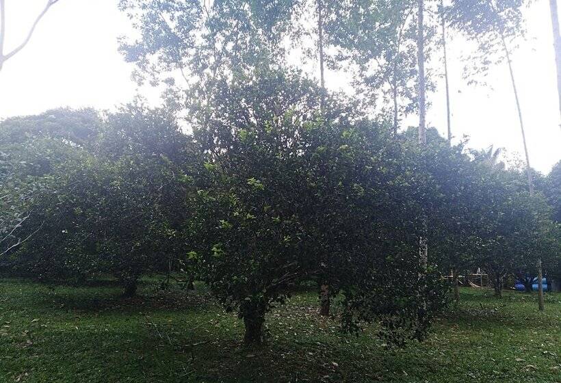 호텔 Tierralinda Finca Cottage