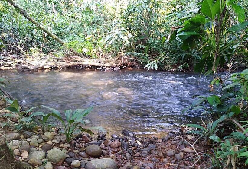 호텔 Tierralinda Finca Cottage