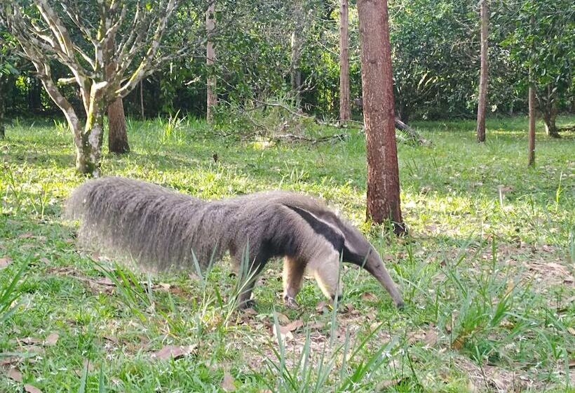 호텔 Tierralinda Finca Cottage