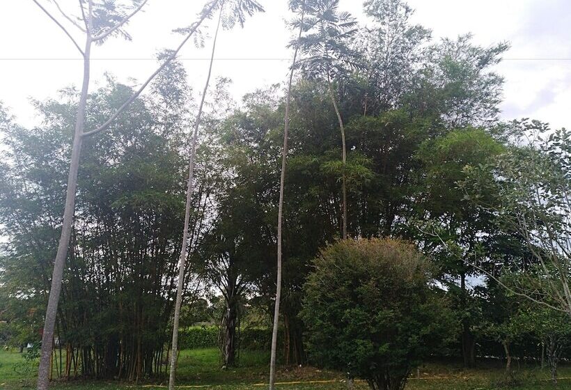 호텔 Tierralinda Finca Cottage