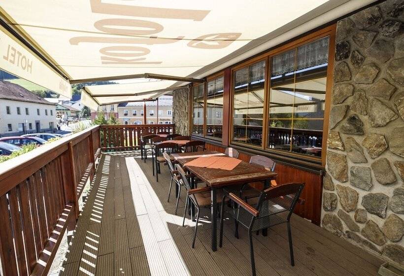 בית מלון כפרי Vintíř