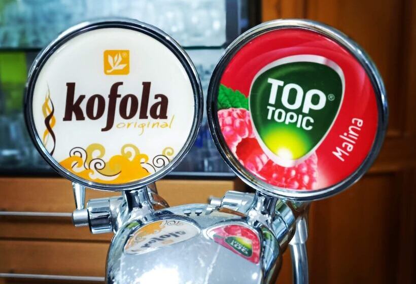 בית מלון כפרי Vintíř