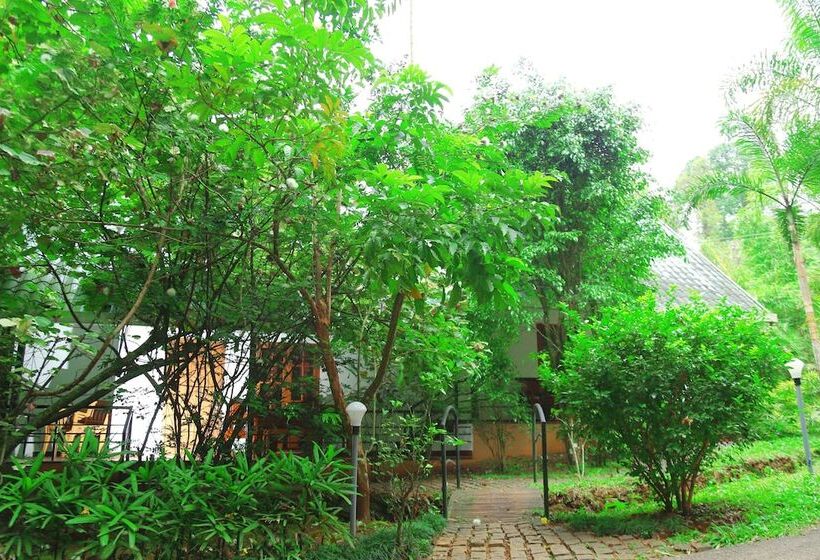 酒店 Vythiri Greens Resort