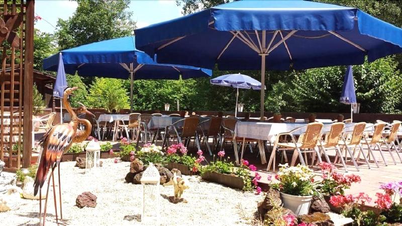 Waldhotel Albachmühle Mit Albacher Stuben