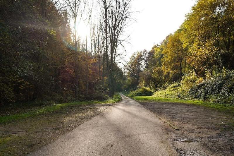 Waldhotel Albachmühle Mit Albacher Stuben