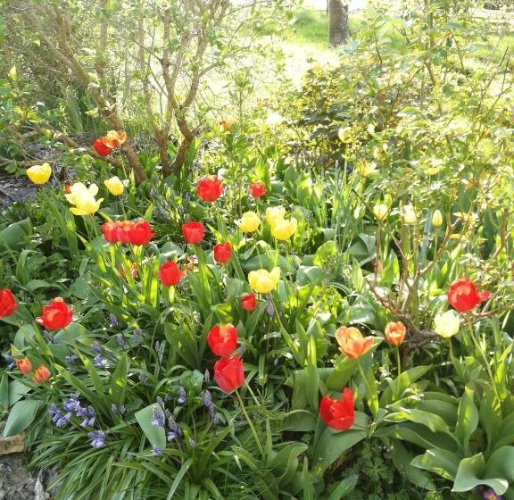 La Malinette B&b, Calme Et Authenticité
