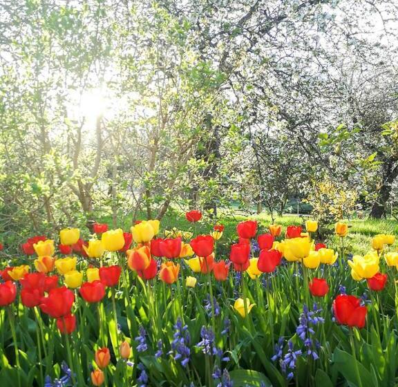 La Malinette B&b, Calme Et Authenticité