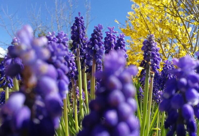 La Malinette B&b, Calme Et Authenticité