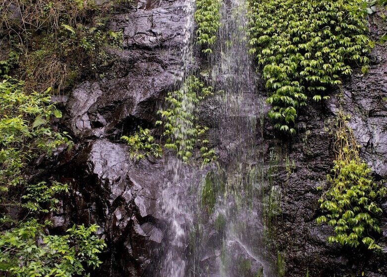 Nimbin Waterfall Retreat