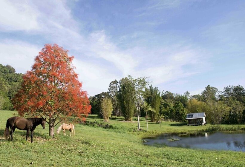 Nimbin Waterfall Retreat