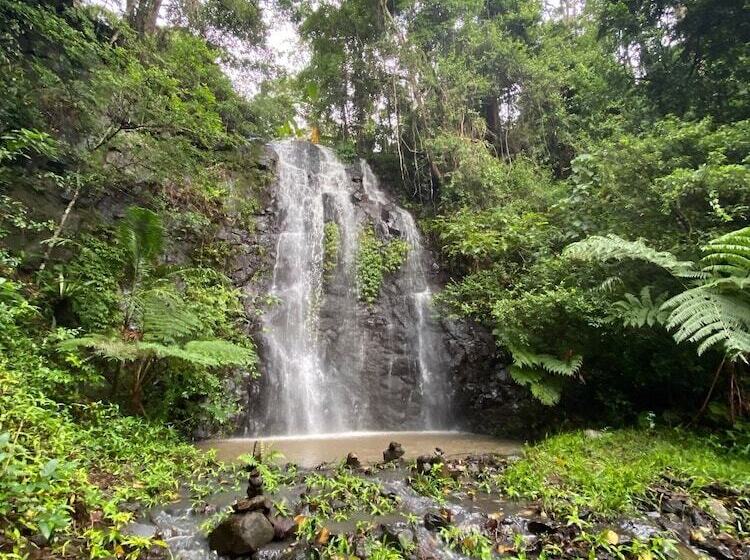 Nimbin Waterfall Retreat