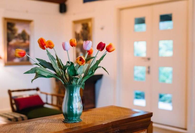 Outlook Hill Vineyard Cottages