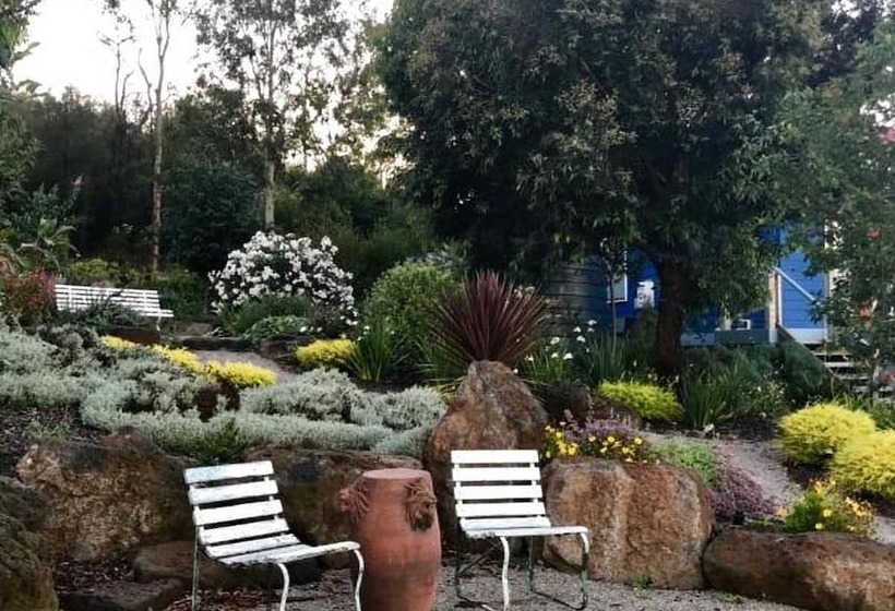 Outlook Hill Vineyard Cottages