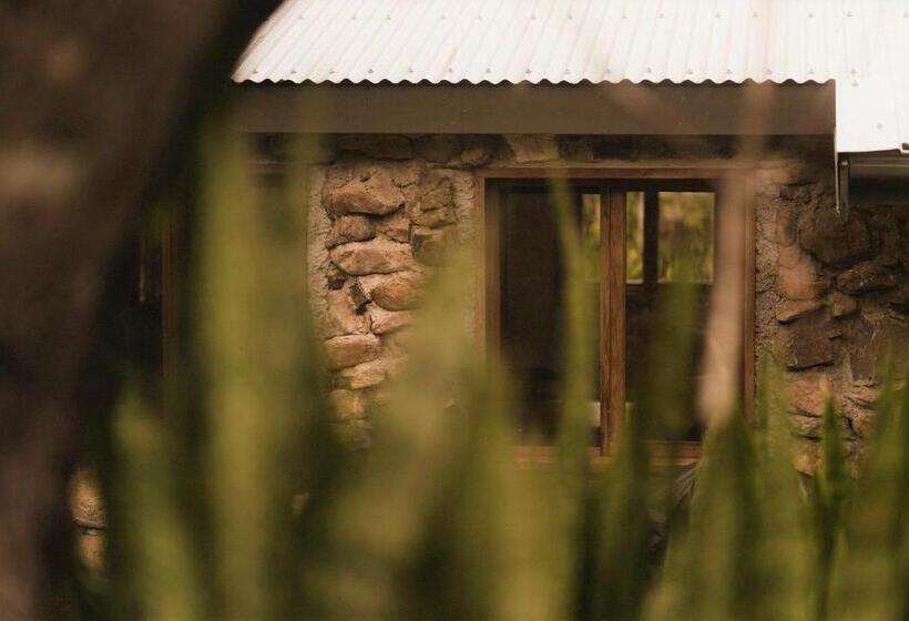 Palm Grove Rainforest Retreat