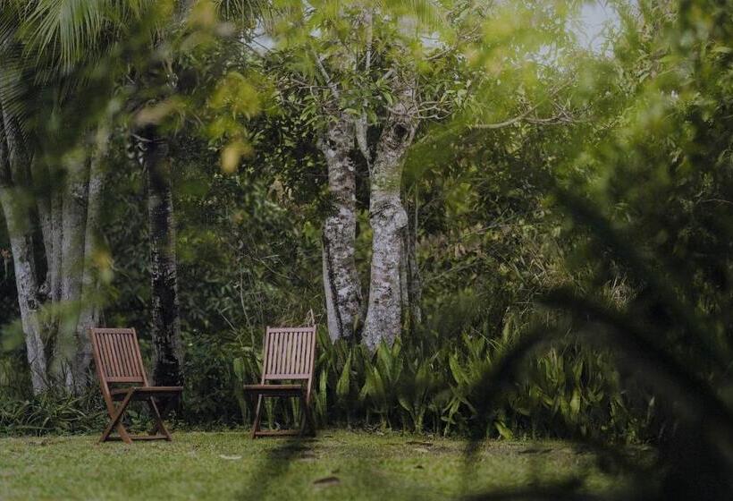 Palm Grove Rainforest Retreat