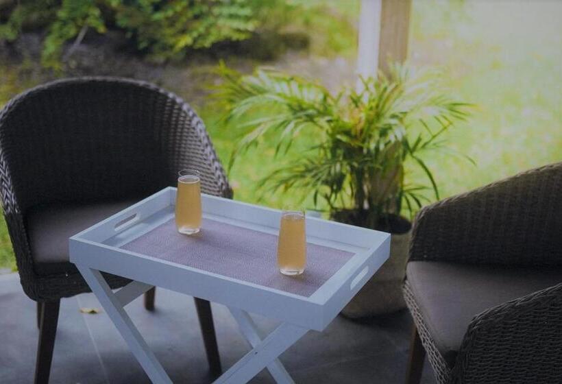 Palm Grove Rainforest Retreat