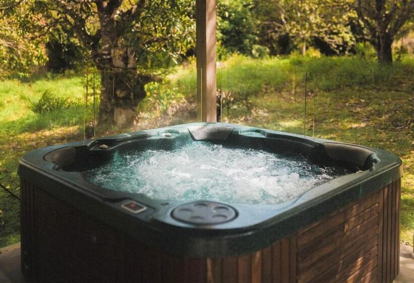 Palm Grove Rainforest Retreat