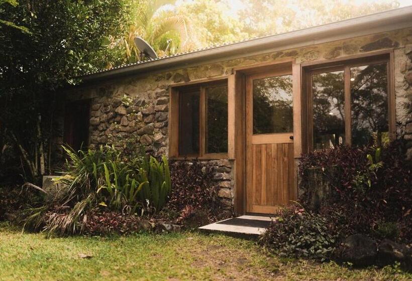 Palm Grove Rainforest Retreat