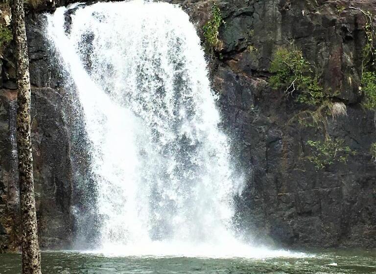 Palm Grove Rainforest Retreat