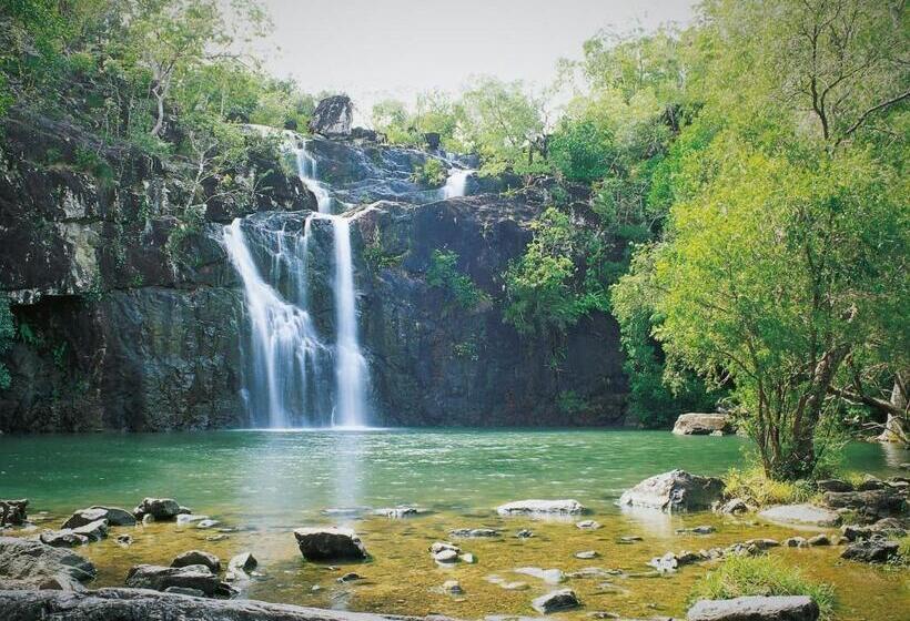 Palm Grove Rainforest Retreat