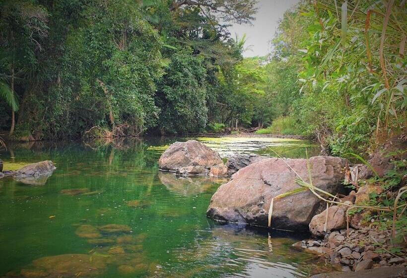 Palm Grove Rainforest Retreat