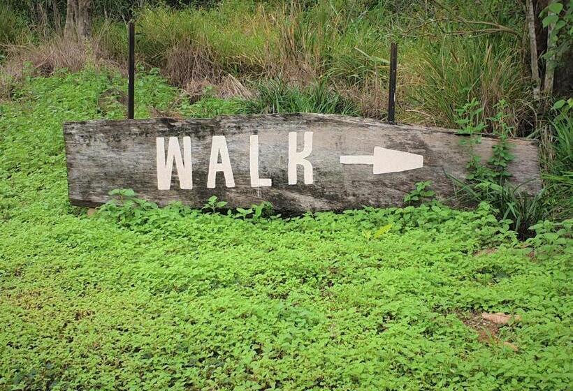 Palm Grove Rainforest Retreat