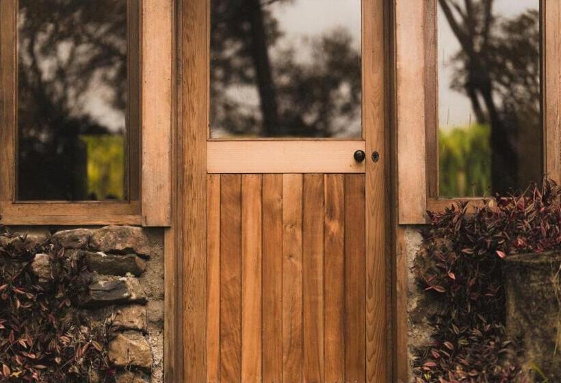 Palm Grove Rainforest Retreat